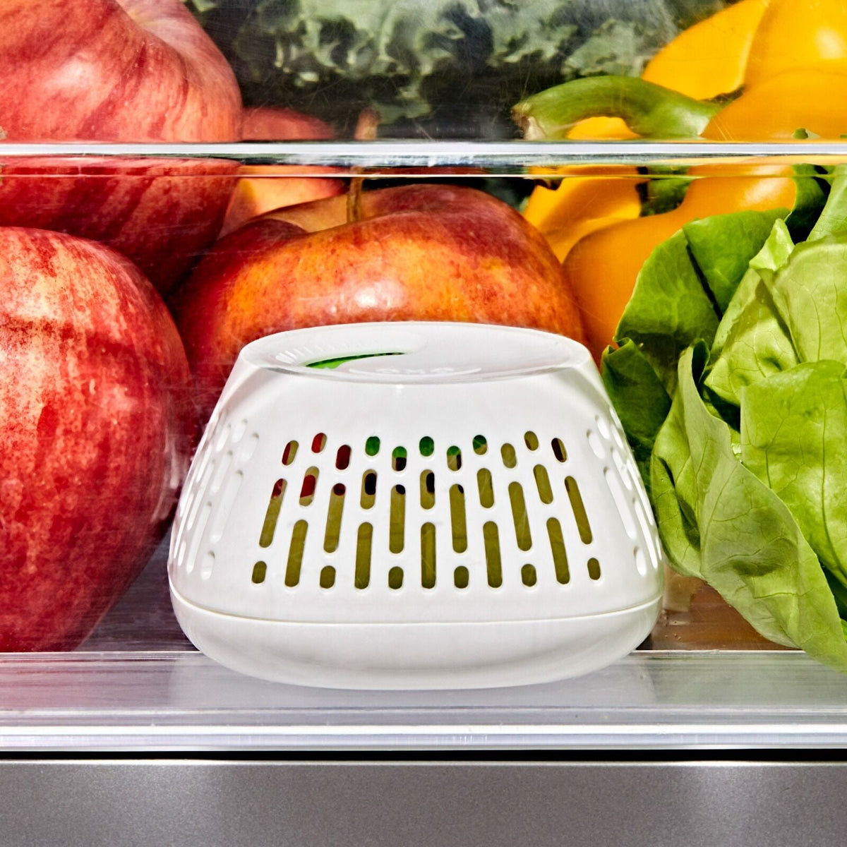 produce-saver-crisper-drawer-insert-2-pack-y2 gg_11427700_greensaver-crisper-drawer-insert_pdp_02.jpeg