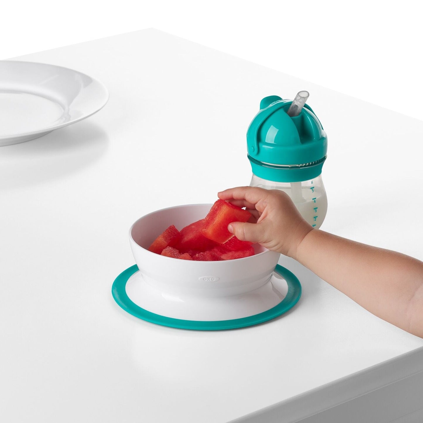 stick-and-stay-suction-bowl-z4 tot_61120600_4i.jpg