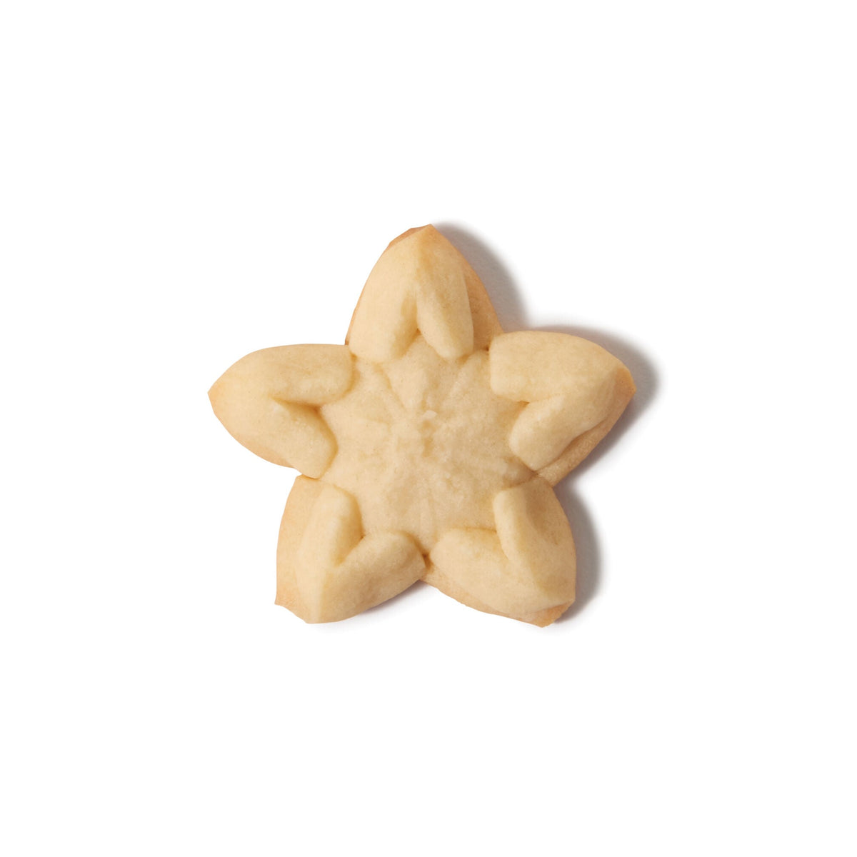 christmas-cookie-press-disk-set-a0 11177800_6_-star.jpg