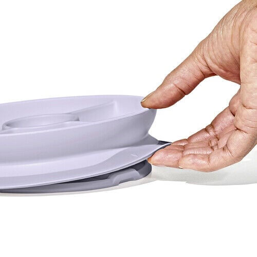 stick-and-stay-suction-divided-plate-h5 1134515a-7af7-4d77-8ad1-4534fbb13d49.jpg