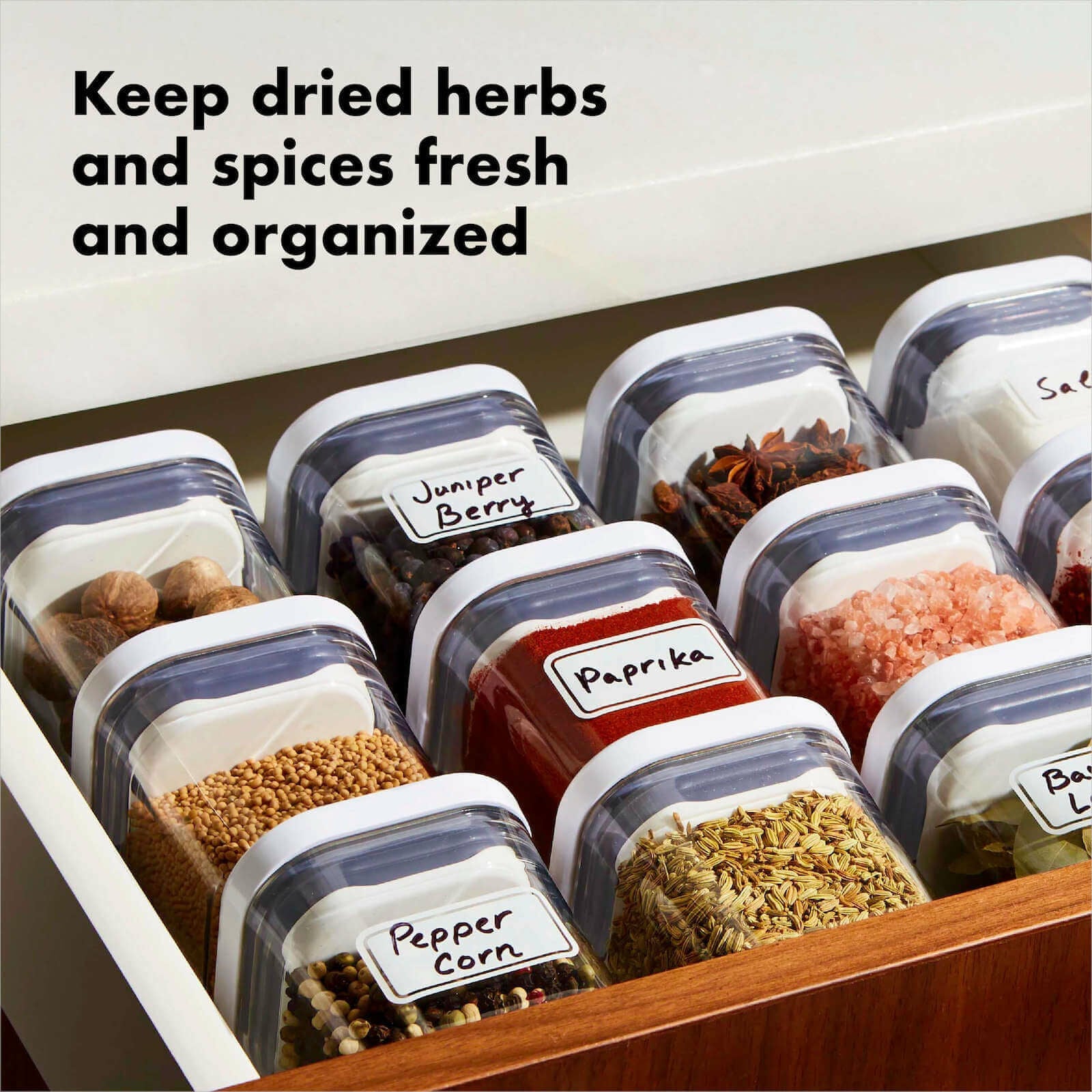pop-4-piece-mini-container-set-n8 4_pieceaplusartboard_1-100_1_1_.jpg