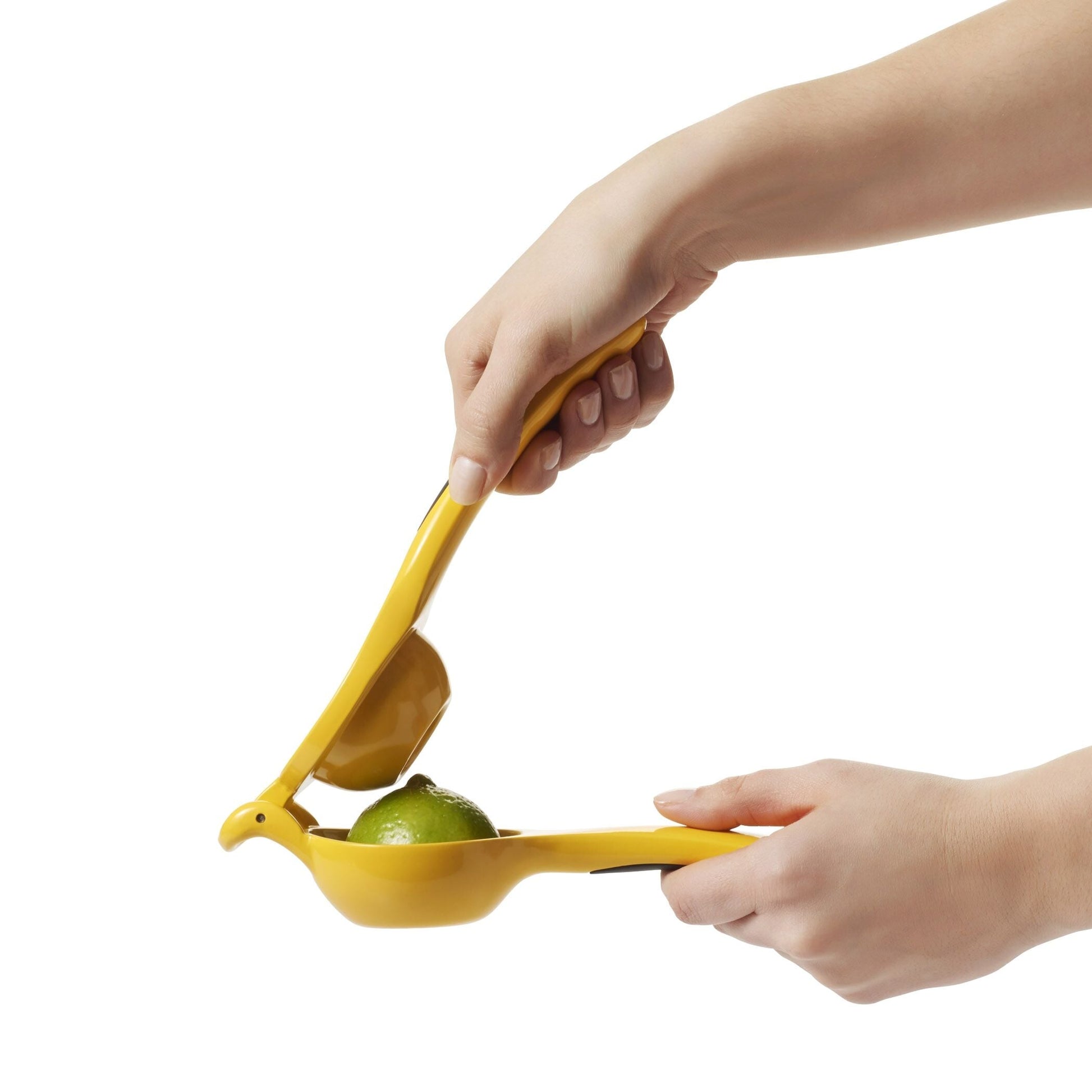 citrus-squeezer-z0 gg_1057962_4a.jpg