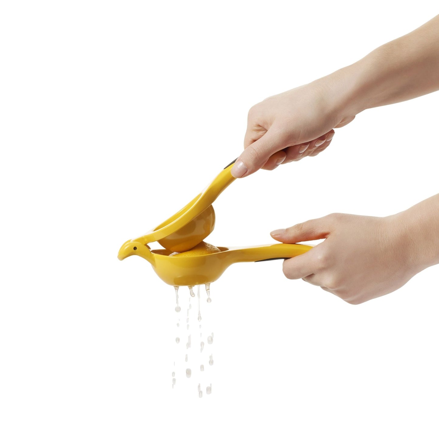 citrus-squeezer-z0 gg_1057962_4b.jpg
