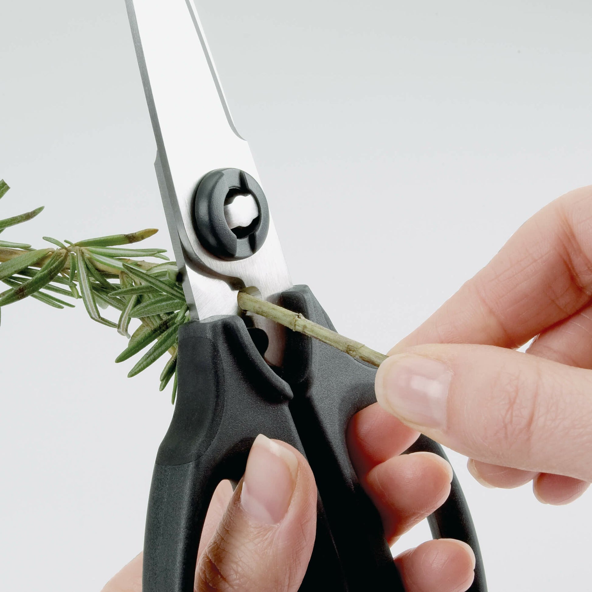 kitchen-and-herb-scissors-m2 gg_1072121_3_1_.jpg