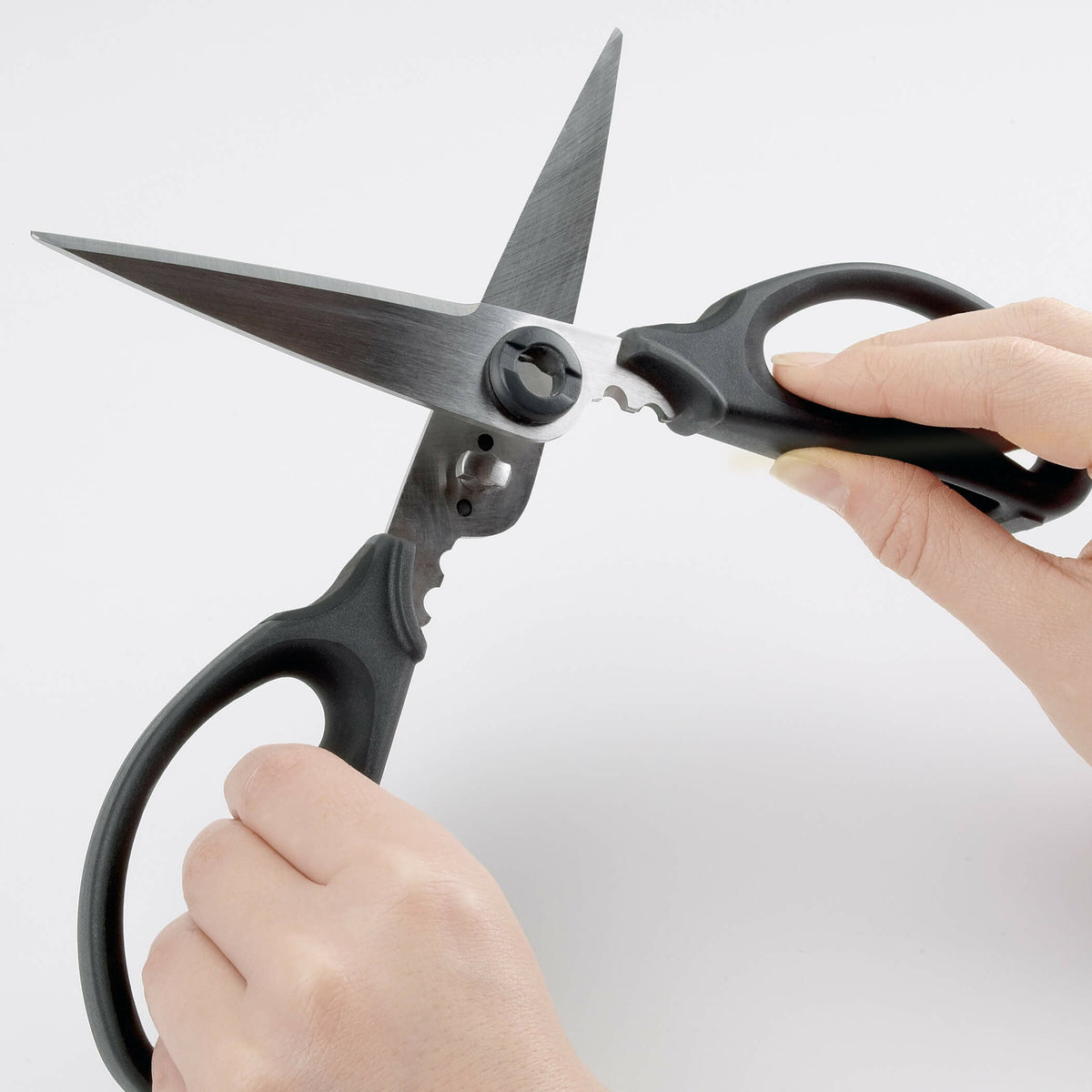 kitchen-and-herb-scissors-m2 gg_1072121_4_1_.jpg