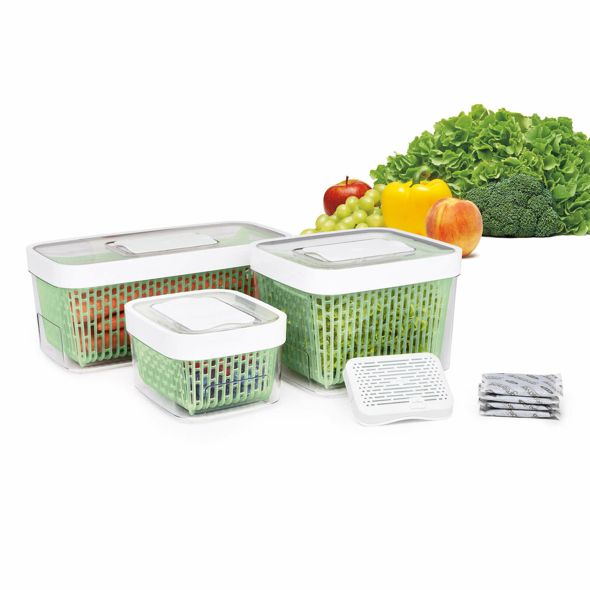 greensaver-produce-keeper-5-0-qt-i5 gg_11140000_1b_1__1.jpg