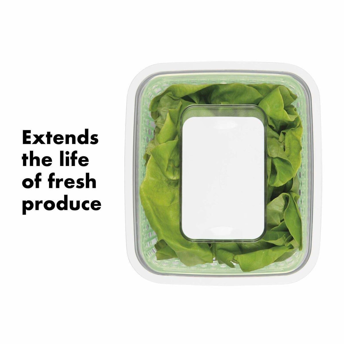 greensaver-produce-keeper-4-3-qt-n5 gg_11140000_greensaverproducekeeper_4_3qt_apdp_01_1_.jpg