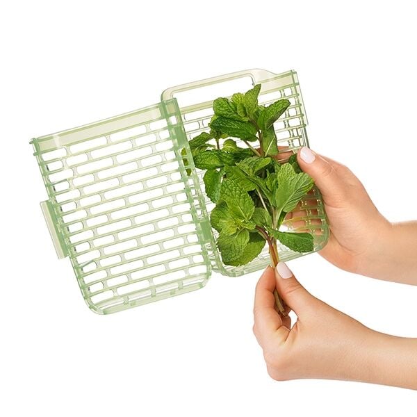 greensaver-herb-keeper-small-l4 gg_11212200_4.jpg