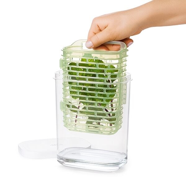 greensaver-herb-keeper-small-l4 gg_11212200_4a.jpg