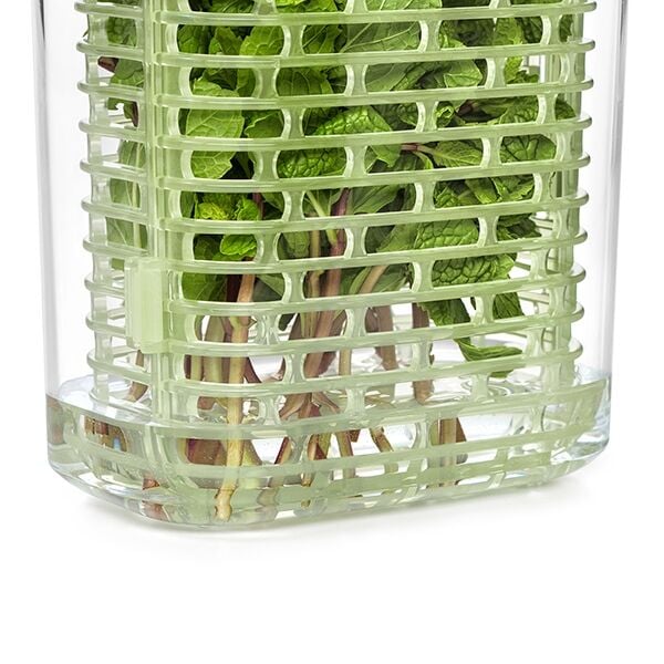 greensaver-herb-keeper-small-l4 gg_11212200_7.jpg