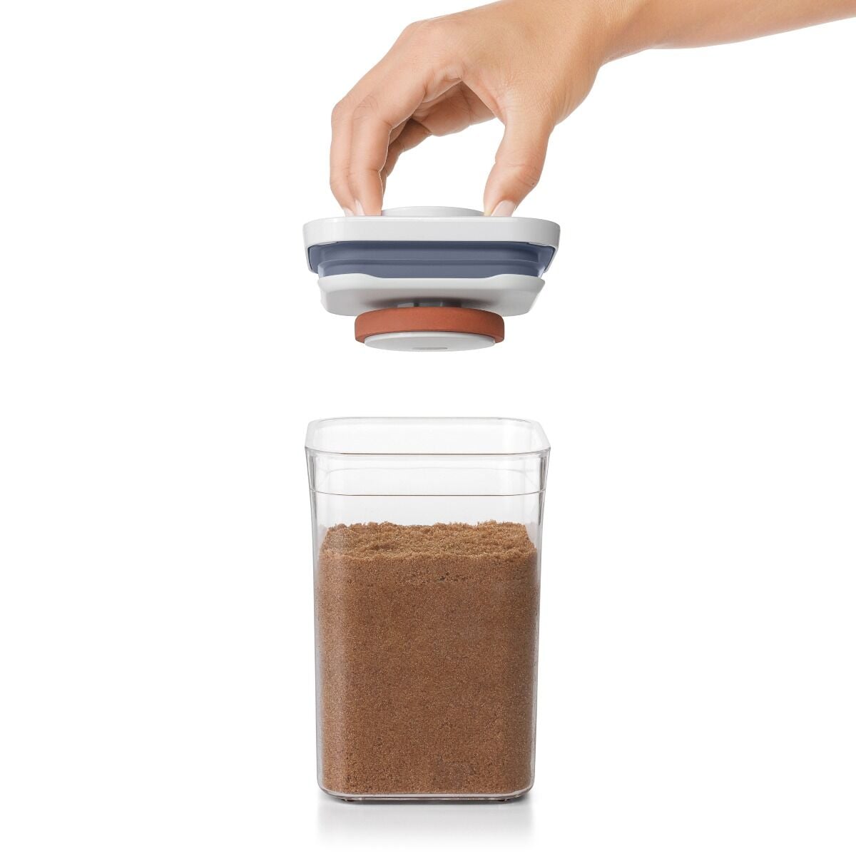 pop-brown-sugar-keeper-g4 gg_11235700_4_-v2.jpg