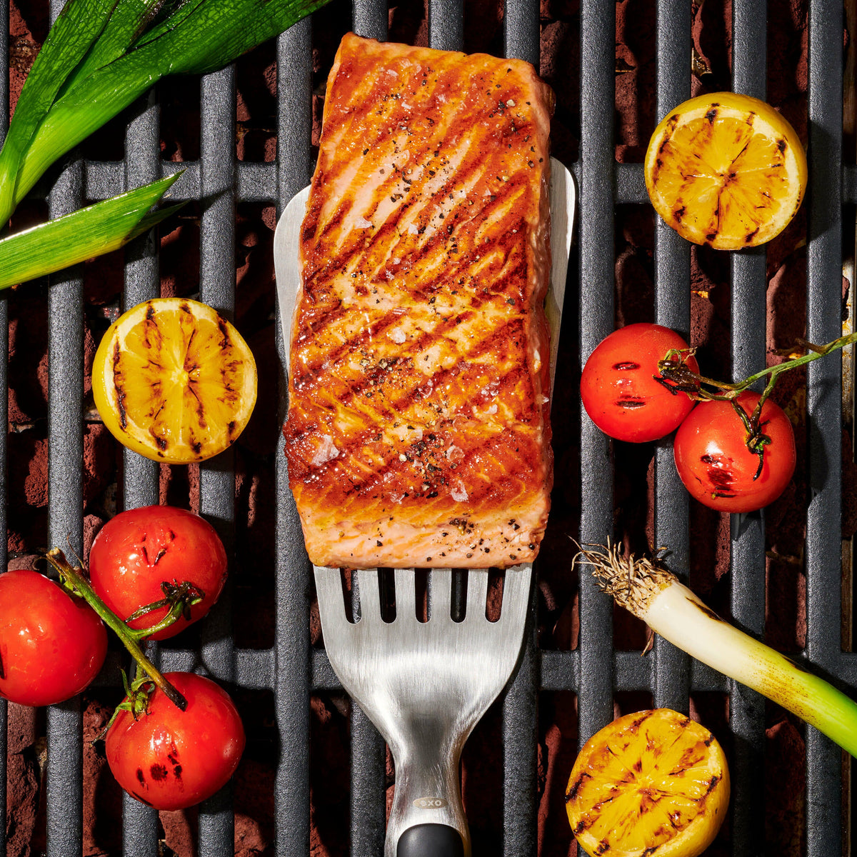 grilling-precision-turner-o4 gg_11309200_052020_11_rgb_1_.jpg