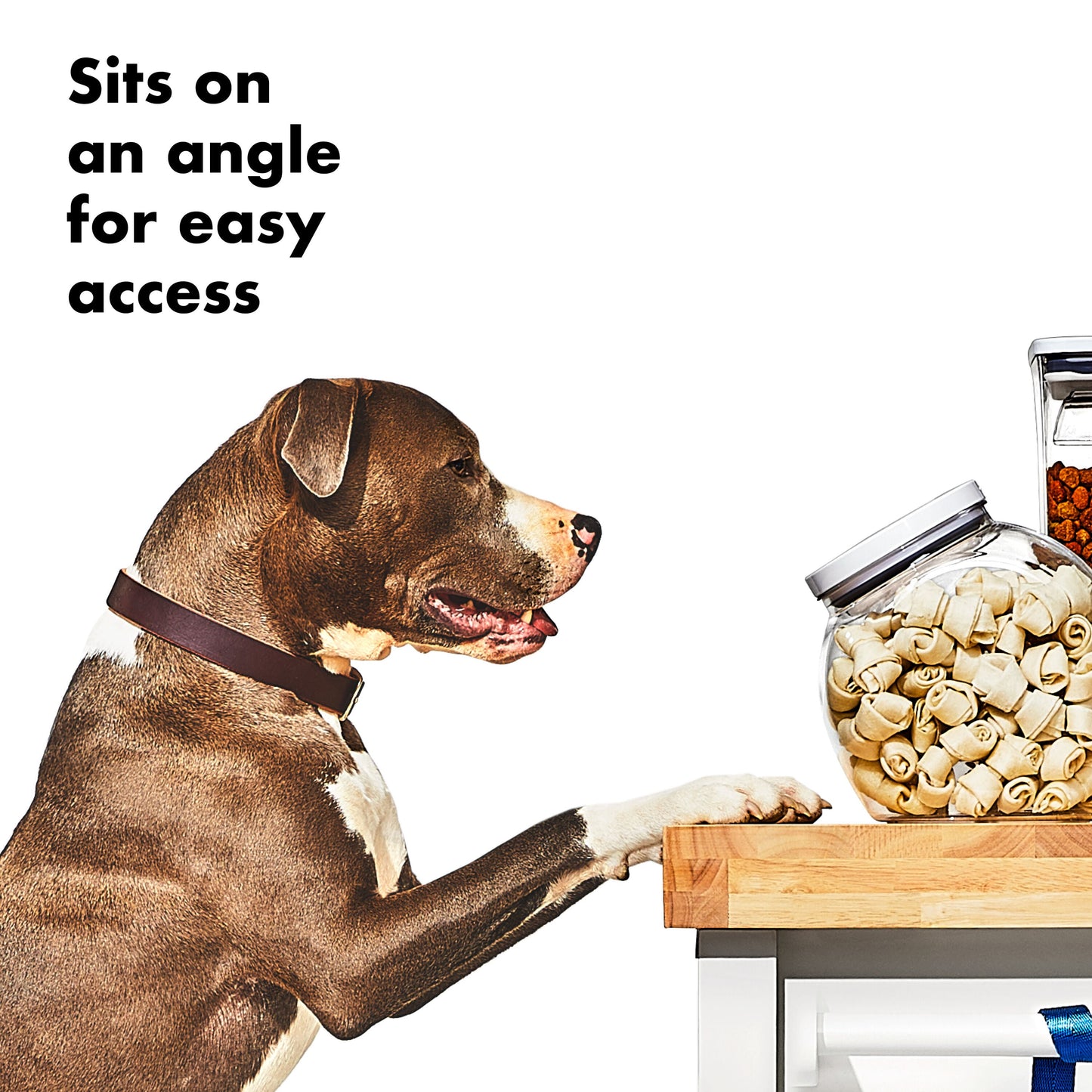 oxo-good-grips-pet-pop-container-3-0-qt-2-8-l-o7 gg_11332400_8b.jpg