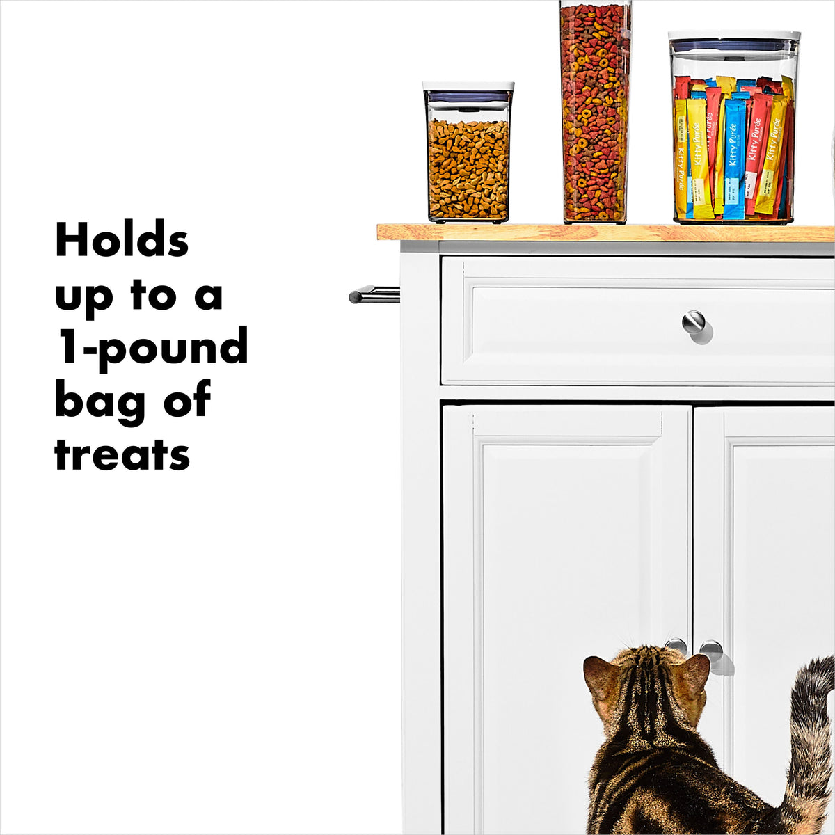 oxo-good-grips-pet-pop-container-1-1-qt-1-l-s2 gg_11332600_8.jpg