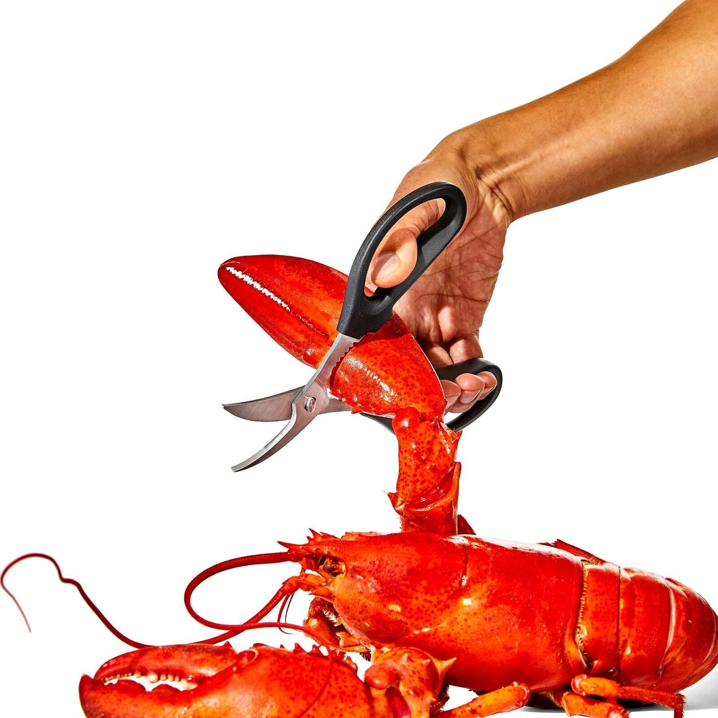 seafood-scissors-k3 gg_11350600_seafoodscissors_03_p.jpg