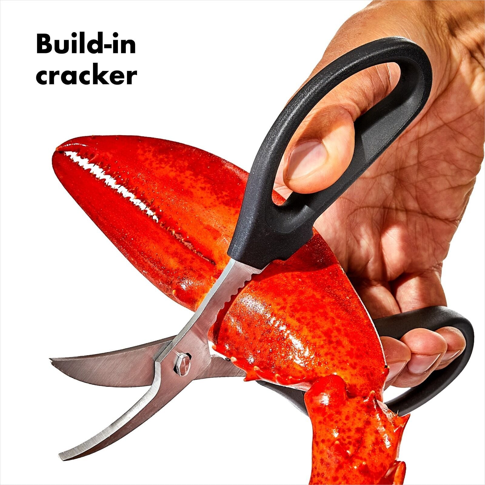 seafood-scissors-k3 gg_11350600_seafoodscissors_apdp_02.jpg