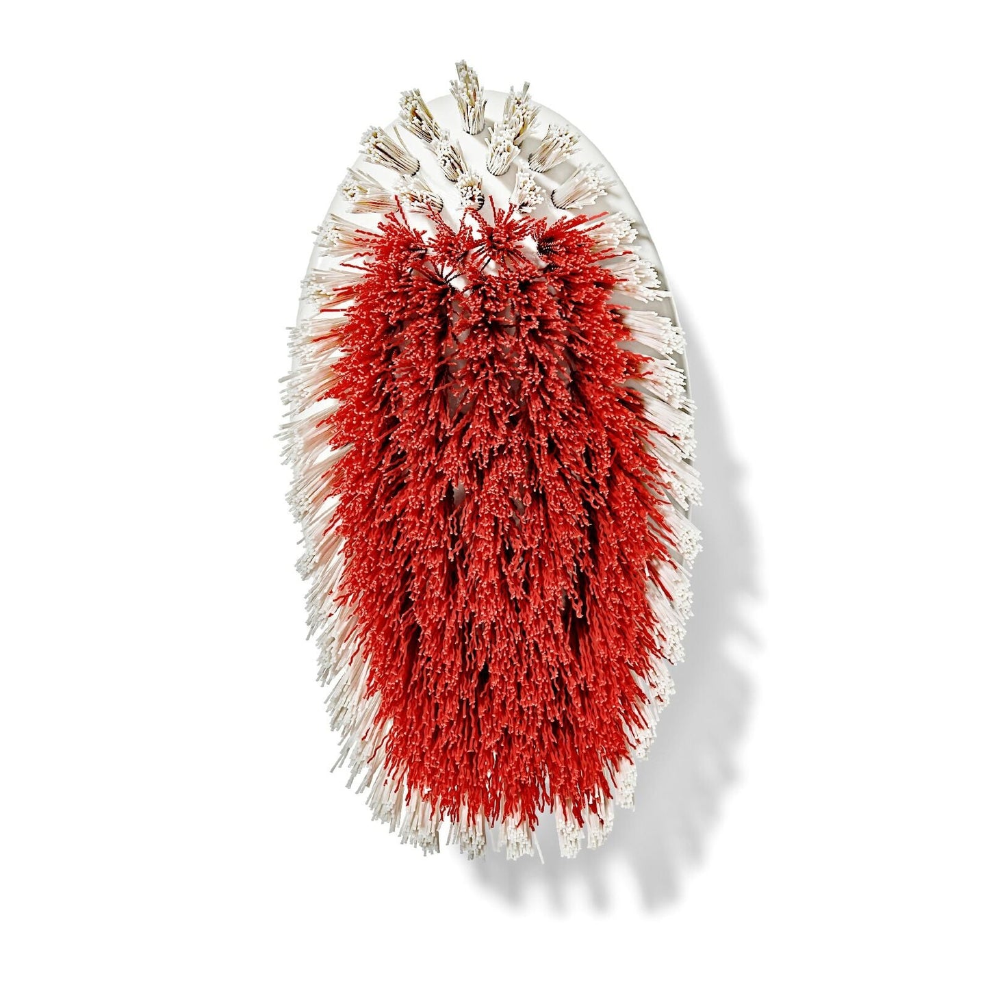 all-purpose-scrub-brush-2-pack-g8 gg_12426000_scrub-brush-2-pack_pdp_07.jpeg