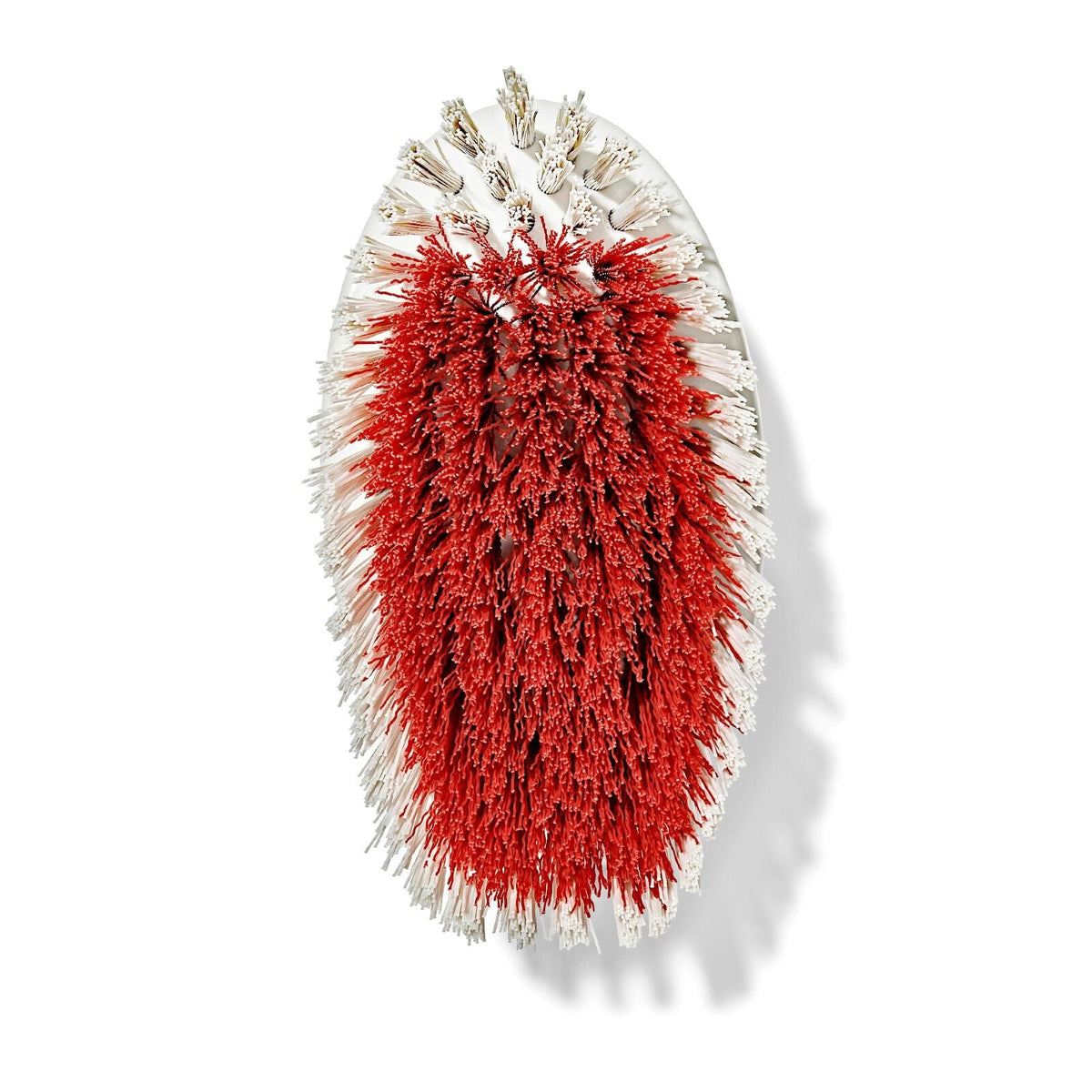 all-purpose-scrub-brush-2-pack-g8 gg_12426000_scrub-brush-2-pack_pdp_07.jpeg