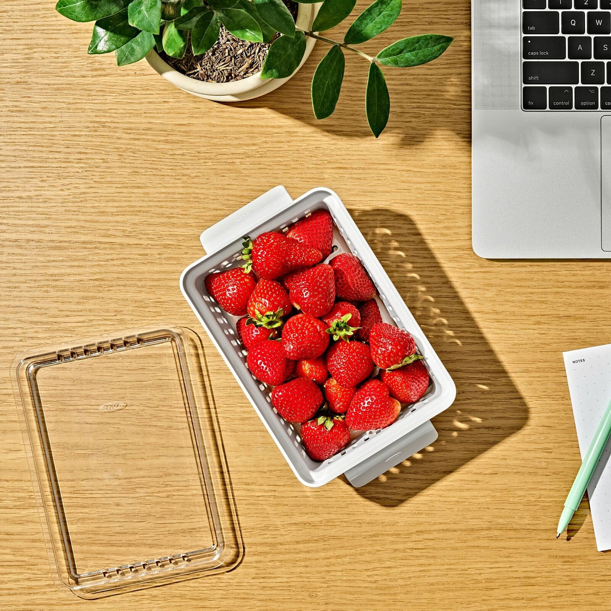 produce-saver-berry-keeper-2-piece-set-j4 gg_berry-keeper-produce-saver_pdp_01_1_.jpg