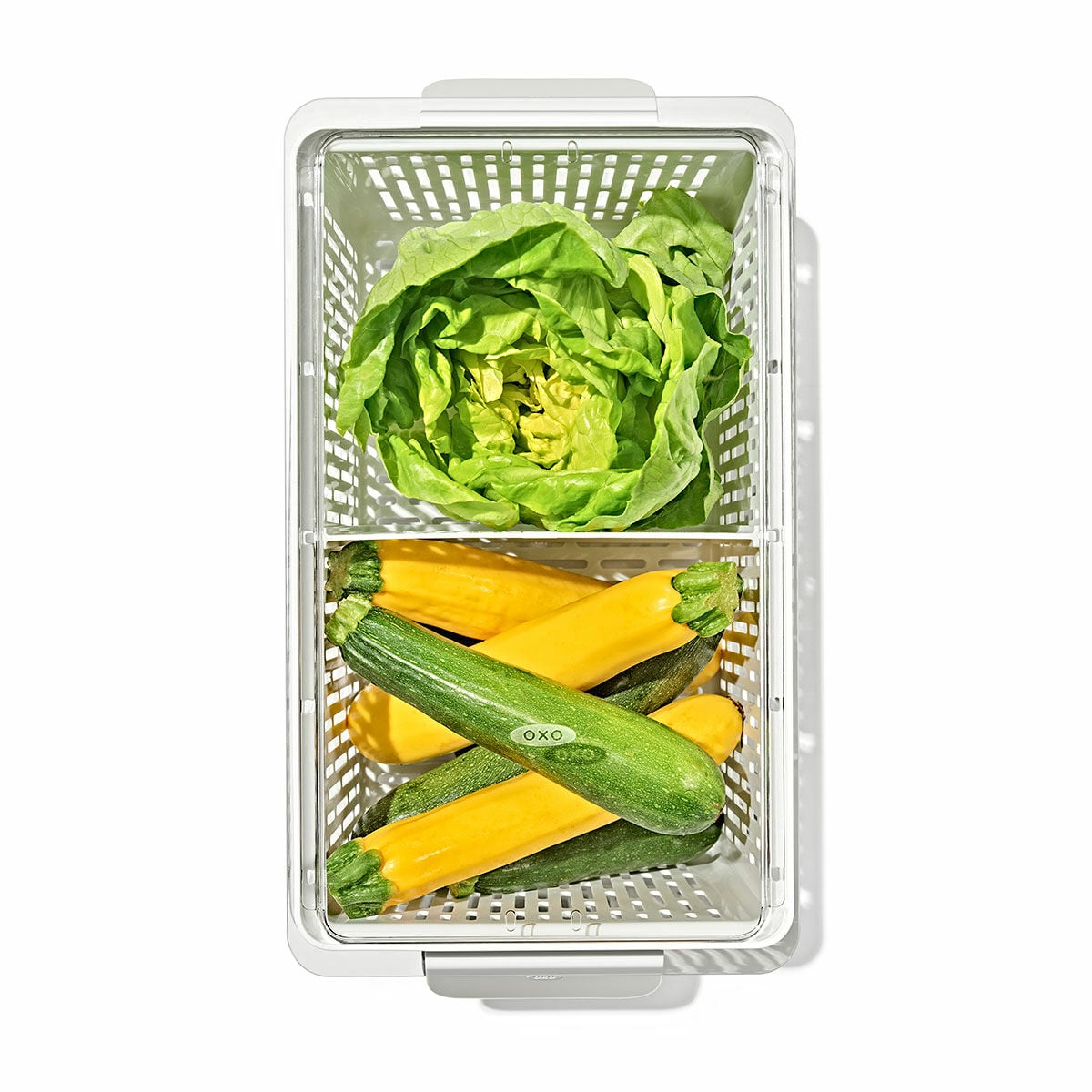 produce-saver-large-bin-v6 gg_sw_produce-saver-large_02.jpg