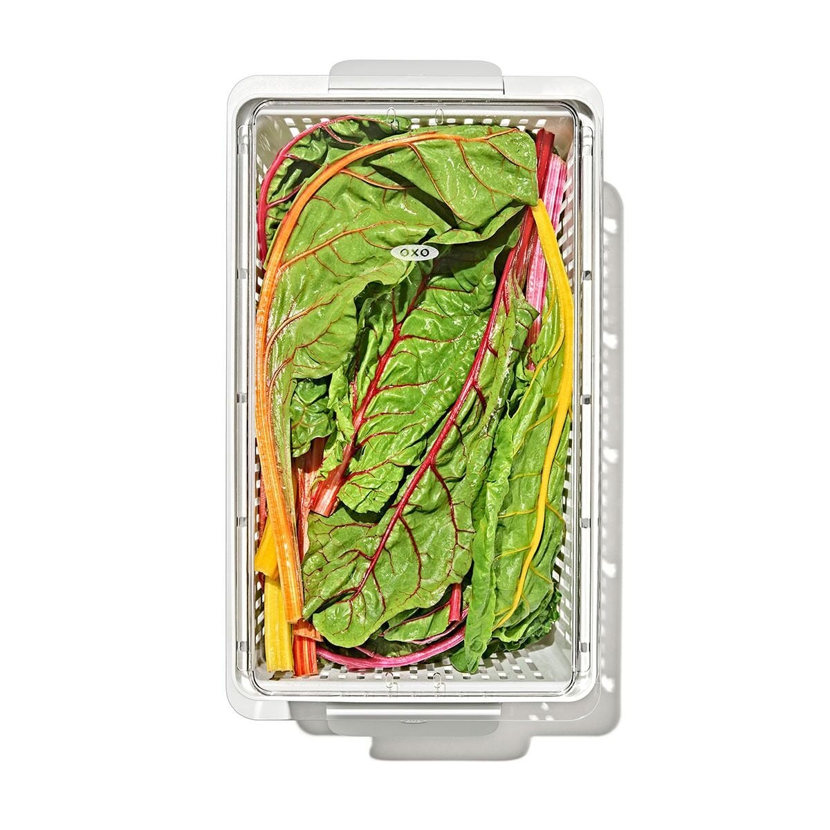 produce-saver-large-bin-v6 gg_sw_produce-saver-large_10.jpg