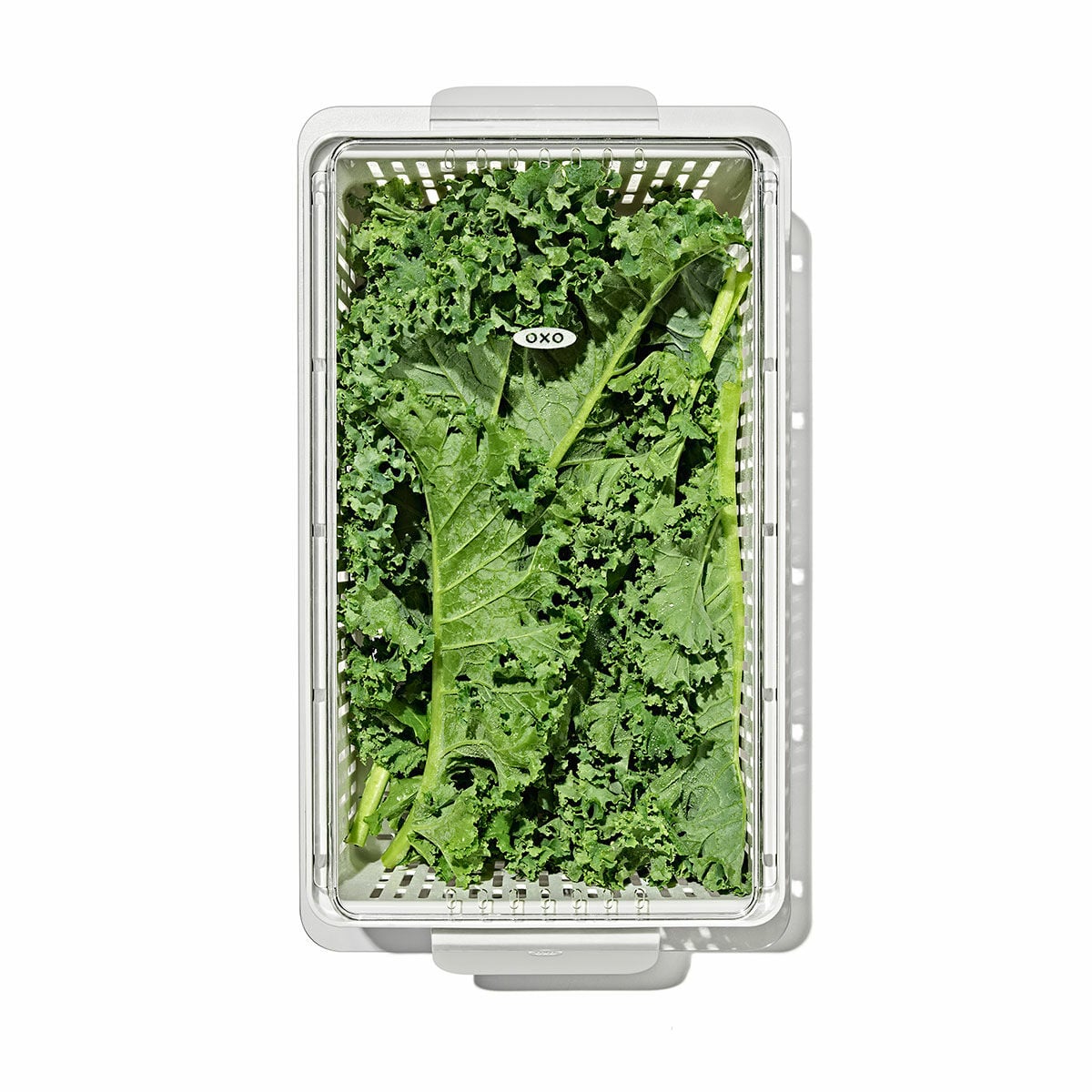 produce-saver-medium-bin-f4 gg_sw_produce-saver-medium_05.jpg
