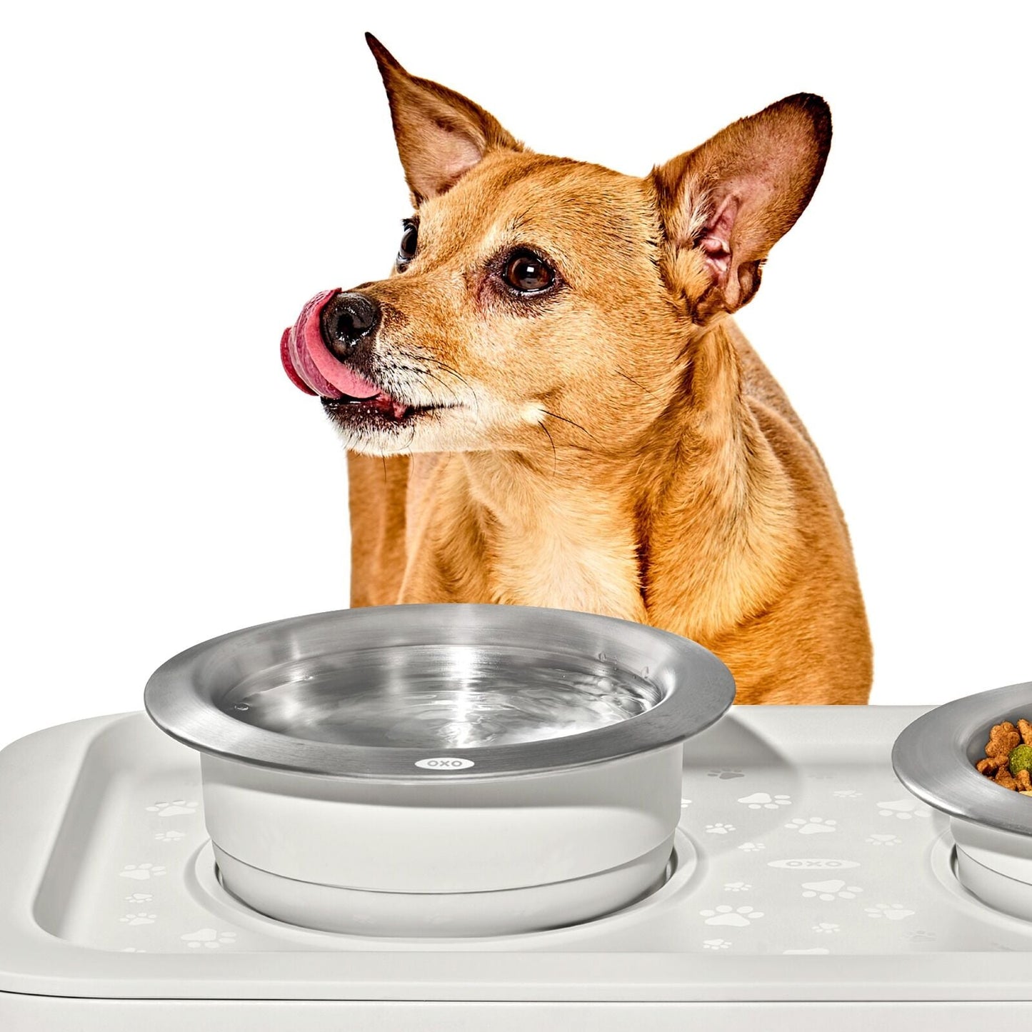 oxo-pet-nonslip-bowl-medium-2-cups-480-ml-w4 pet_7101900_nonslip-medium-bowl_pdp_02.jpeg