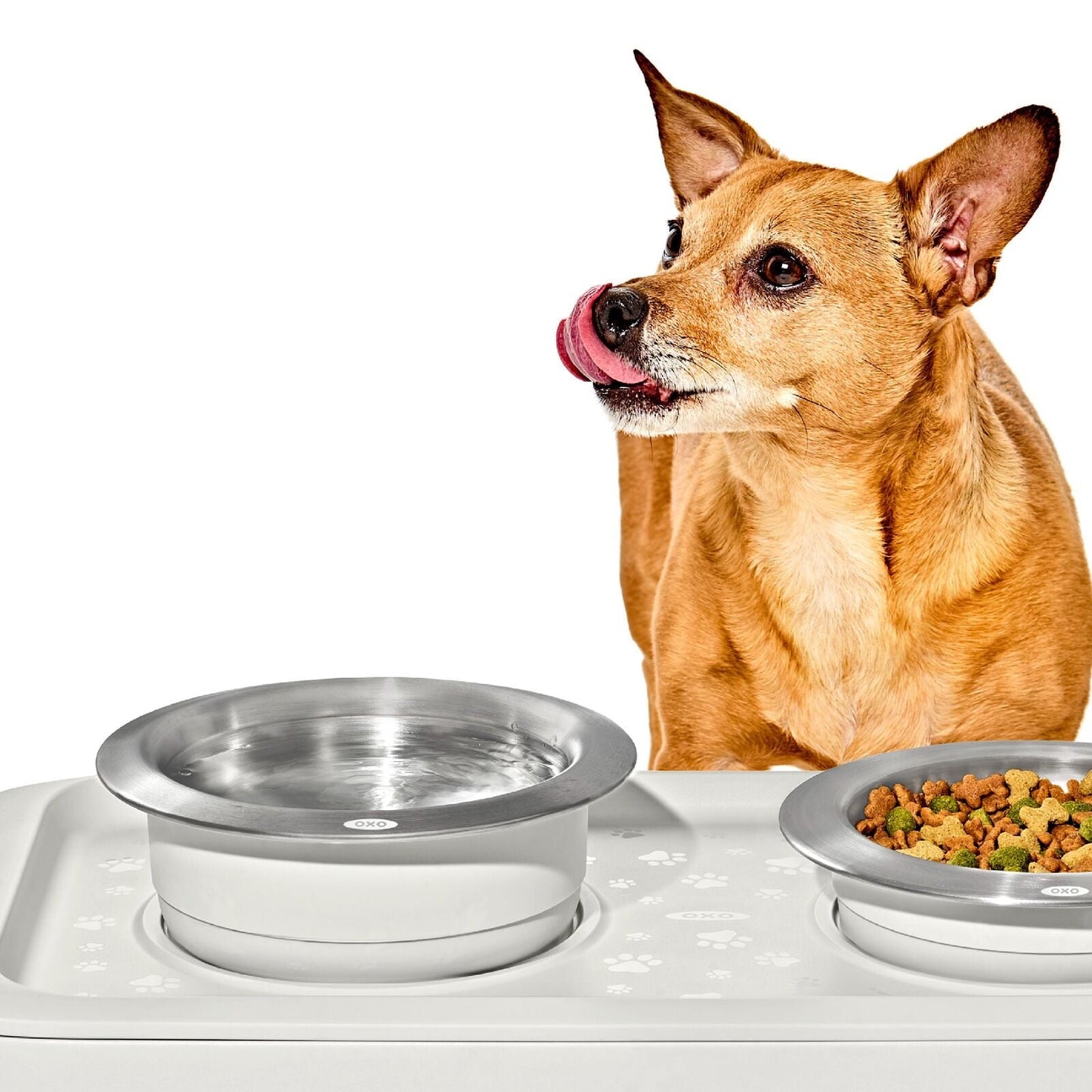 oxo-pet-nonslip-bowl-large-4-cups-950-ml-z7 pet_7102000_nonslip-large-bowl_pdp_02.jpeg