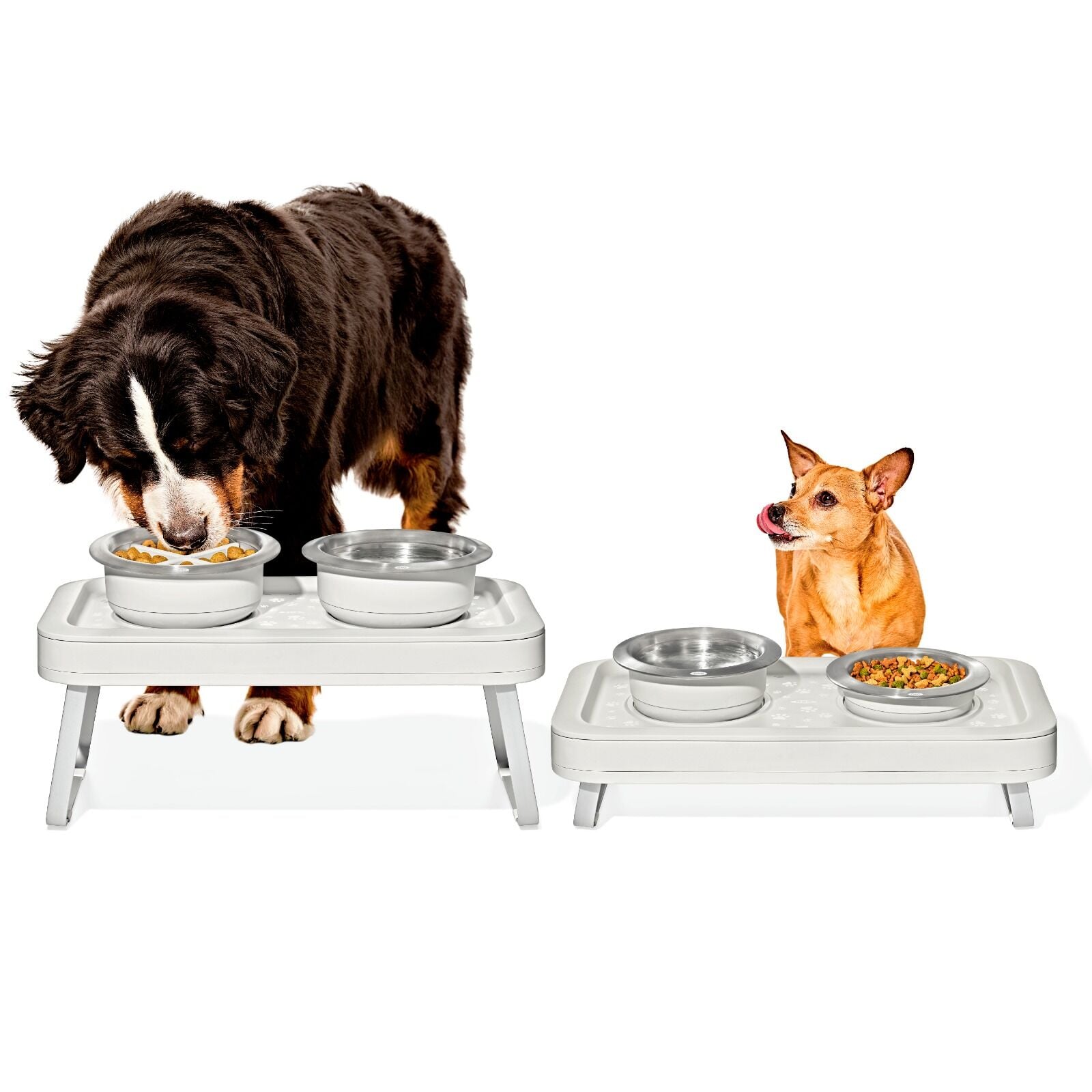 oxo-pet-adjustable-elevated-feeder-x0 pet_7102300_elevated-feeder_pdp_01.jpeg