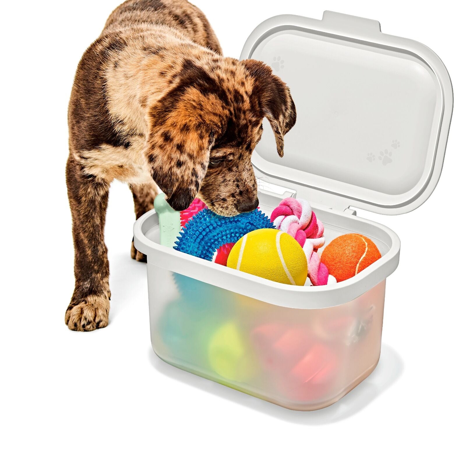 oxo-pet-multi-purpose-container-j5 pet_7301300_multi-purpose-container_pdp_06.jpeg