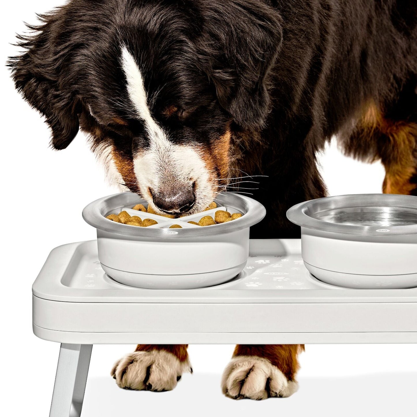 oxo-pet-easy-clean-slow-feeder-large-4-cups-950-ml-d4 pet_slow-feeder-medium-large_pdp_02.jpeg