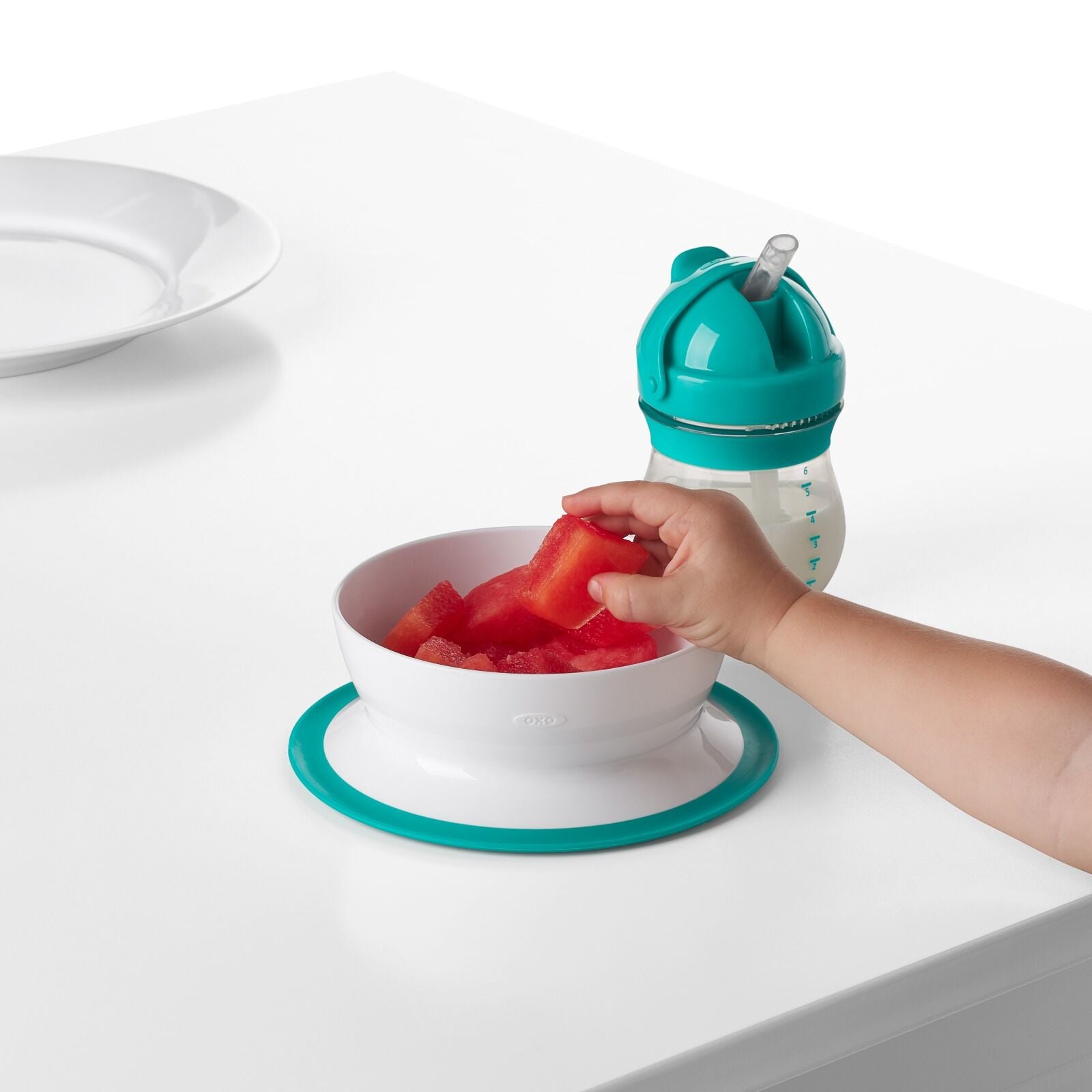 stick-and-stay-suction-bowl-z4 tot_61120600_4i.jpg